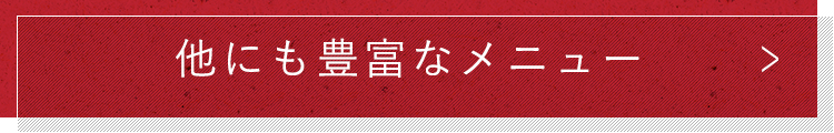 他にも豊富なメニュー